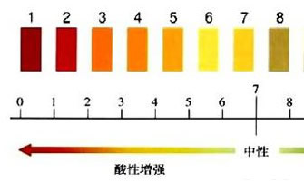 怎样挑选控油洗面奶 控油洗面奶选购攻略