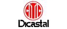 中信戴卡Dicastal